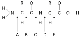 nar006-1.jpg