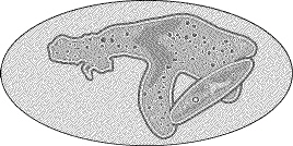 nar009-1.jpg