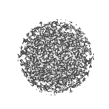 Virus Worksheet - BIOLOGY JUNCTION