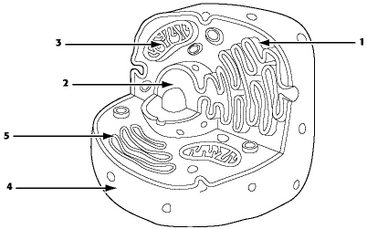 nar001-1.jpg