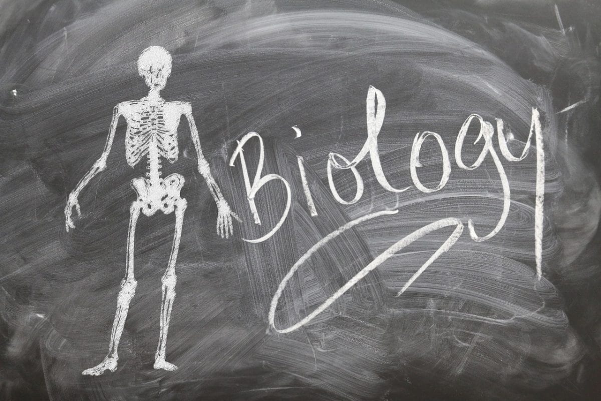 10 Best Colleges for Biology Majors Looking to Leave Their Mark on the