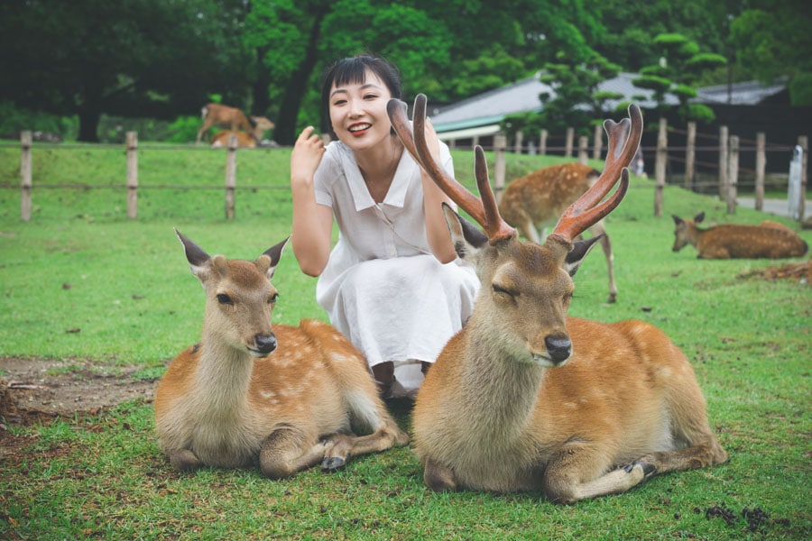 How to a Zoologist Everything You Need to Know