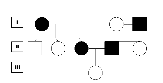 Pedigree Chart Maker Circles And Squares