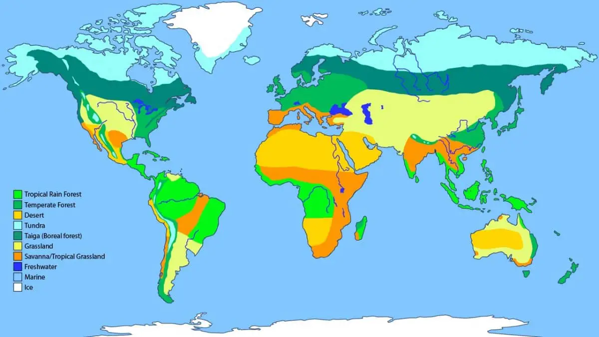 world biomes map