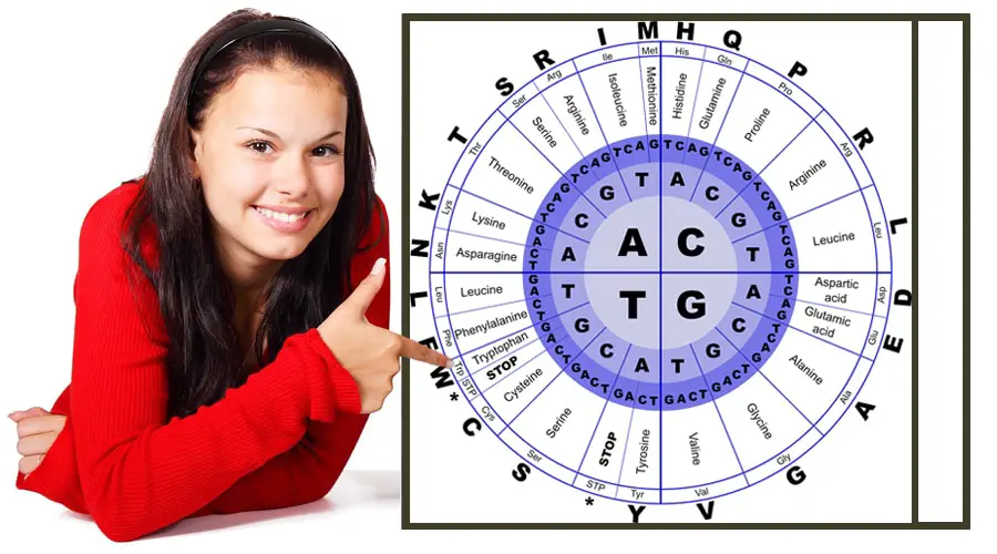 Amino Acid Chart Circle